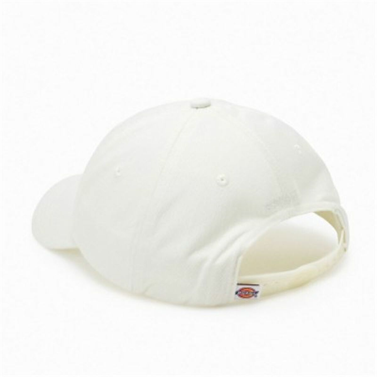 Sports Cap Dickies Hardwick Cloud (One size)-2